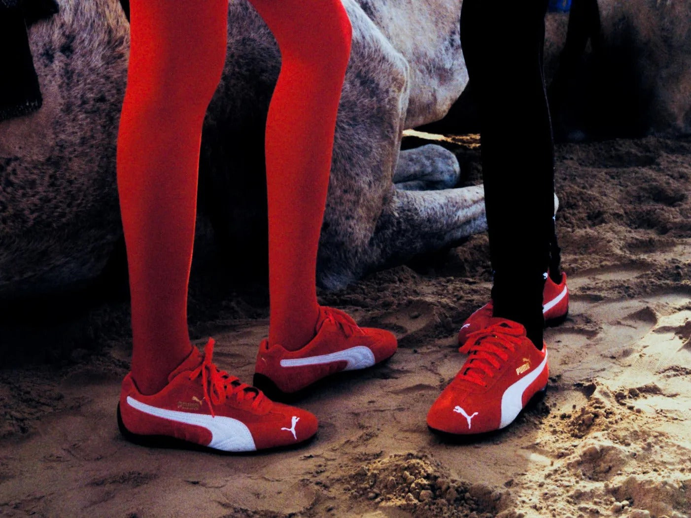 TENIS PUMA SPEEDCAT UNISEX + CAJA